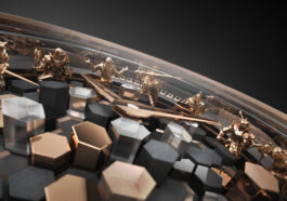 Roger Dubuis Knights