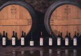 Bodega Landsuá