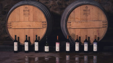 Bodega Landsuá