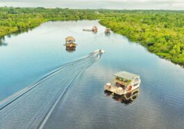 Unique Travel Iquitos
