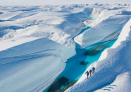 White Desert