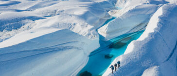 White Desert
