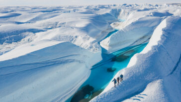White Desert