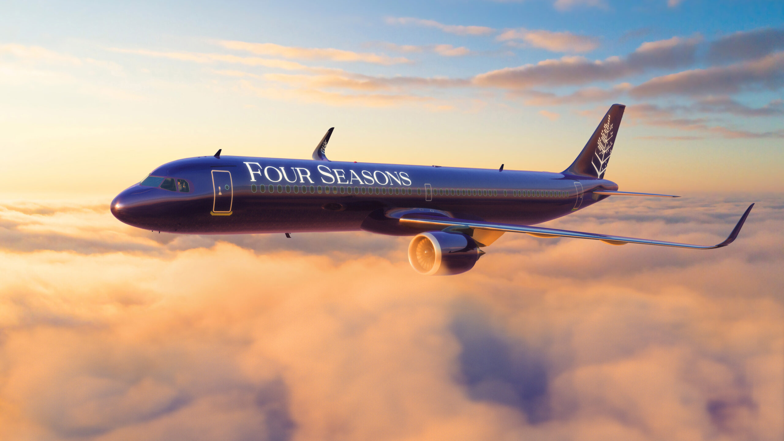 Four Seasons Private Jet Experience