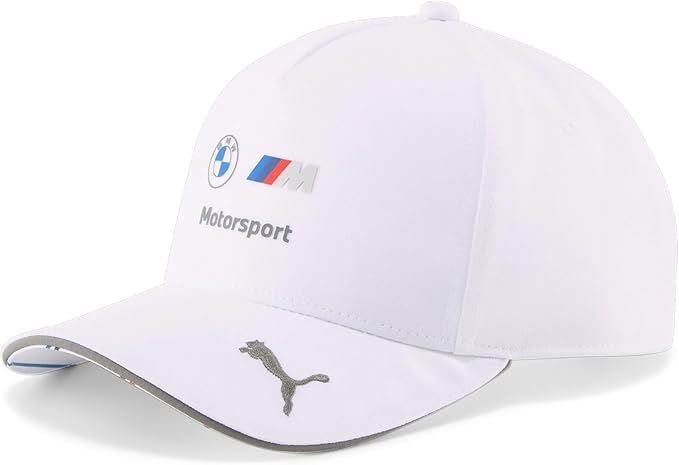 BMW Motorsport Team
