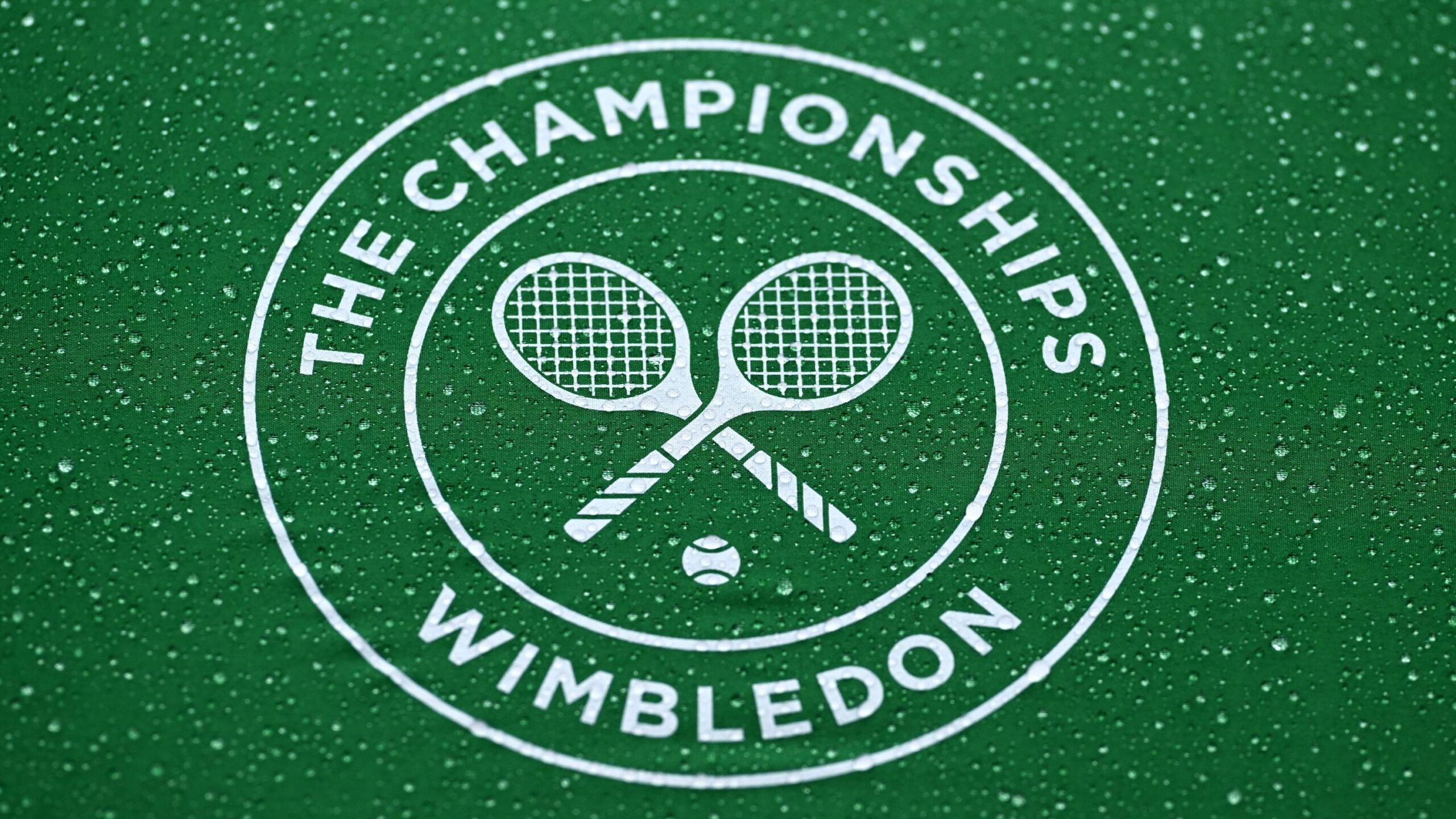 Wimbledon 2025 Finals