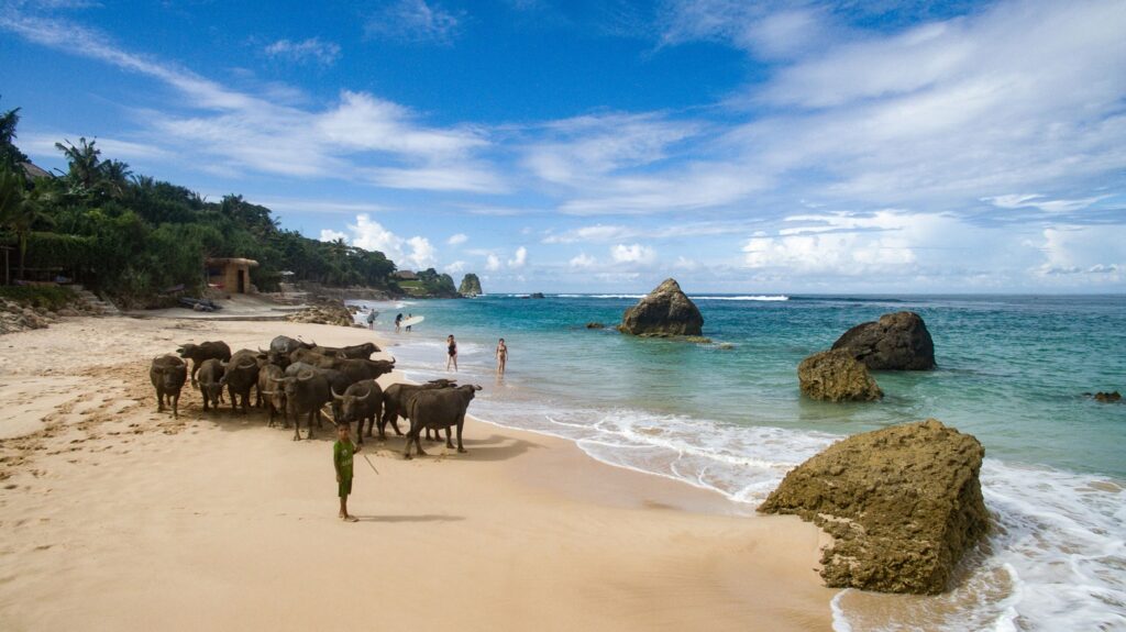 NIHI Sumba by CHRIS BURCH