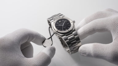 IWC Curated