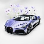 Bugatti W16 Mistral Caroline