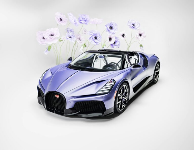Bugatti W16 Mistral Caroline